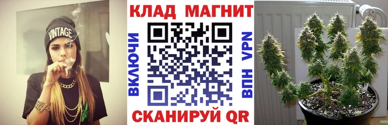Купить закладку Гашиш  МАРИХУАНА  СОЛЬ  Меф  АМФЕТАМИН  Метамфетамин  КОКАИН  Новая Ладога