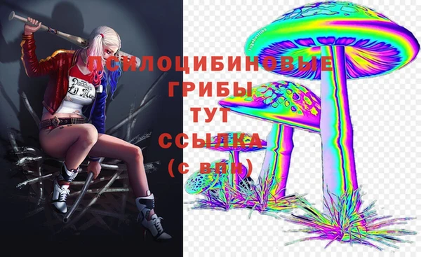 молекула духа Арсеньев