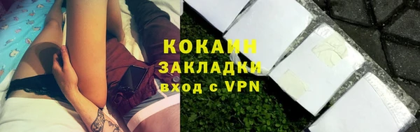 молекула духа Арсеньев