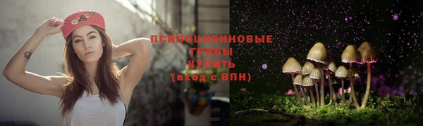 ALPHA-PVP Армянск