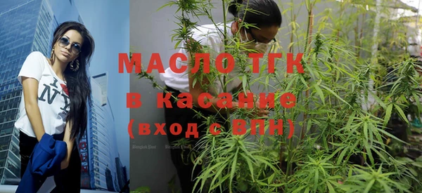 молекула духа Арсеньев