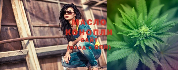 молекула духа Арсеньев