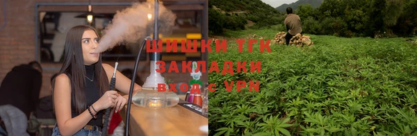 молекула духа Арсеньев