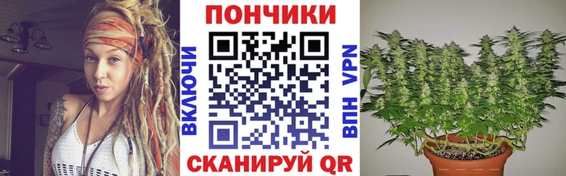 Купить  Новая Ладога  Канабис семена 